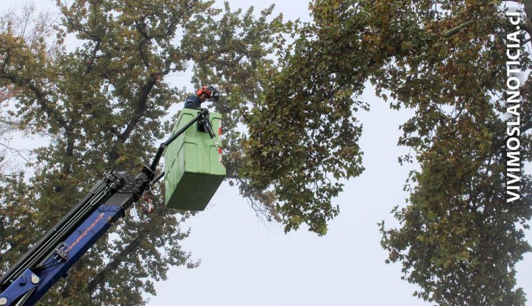 Municipio curicano lanzó su plan invierno 2017