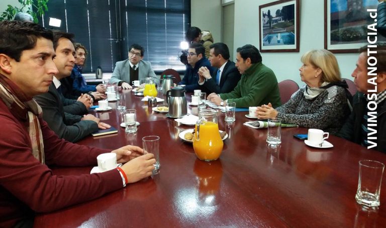 Alcaldes de comunas rurales exigieron compensaciones por prolongados apagones