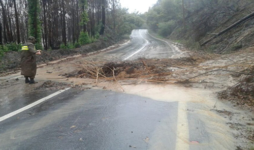 Fuertes lluvias dejan estragos en poblaciones de Talca y la región