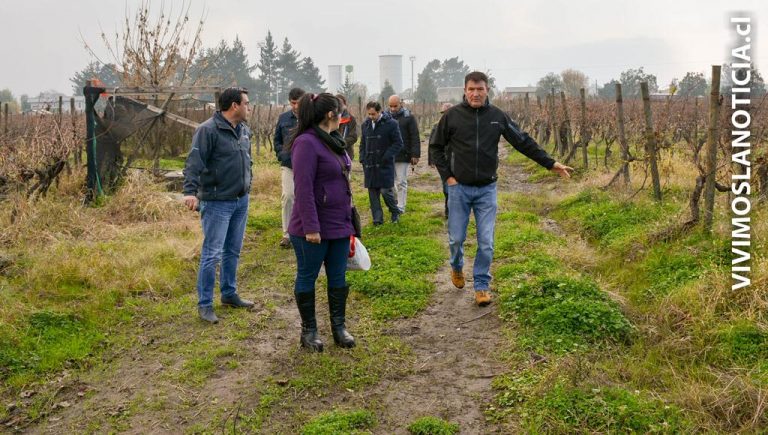 Con traspaso de terrenos grupo estafado dio otro paso a la casa propia