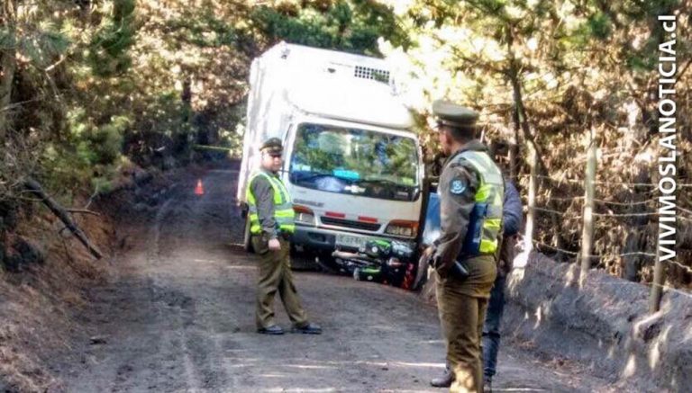 Turista fallece bajo las ruedas de camión en Vichuquén