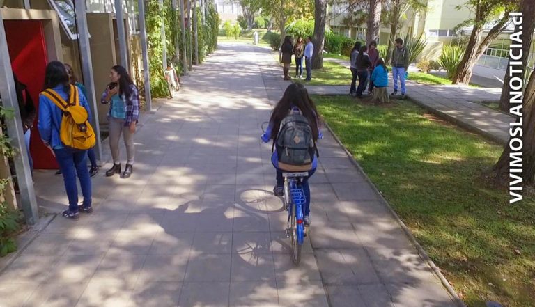 Uso de bicicletas públicas surge como nueva opción de transporte universitario