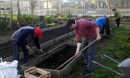 Este fin de semana: ecoferia en sector surponiente de Curicó