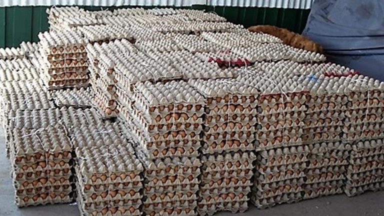 SAG alerta ingreso ilegal de huevos de gallina boliviana