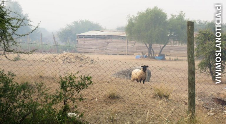 Ministerio del medio ambiente inicia restauración ecológica y social de zonas devastadas