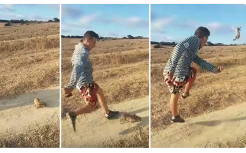 Buscan al joven que pateó un conejo al grito de “Cristiano Ronaldo”