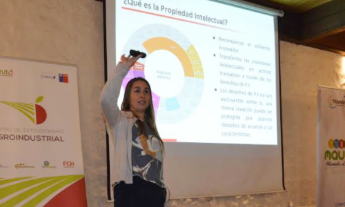 Gran interés de agroindustriales en Taller de Propiedad Industrial