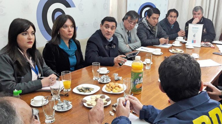 Municipio curicano lidera estrictas fiscalizaciones a locales nocturnos