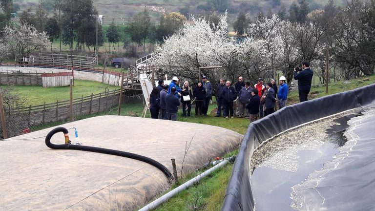 Lanzan publicación sobre sistemas de acumulación de aguas lluvias - scalls