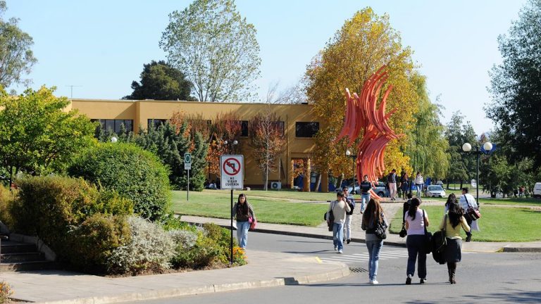 Universidad de Talca se mantiene como la mejor estatal de regiones