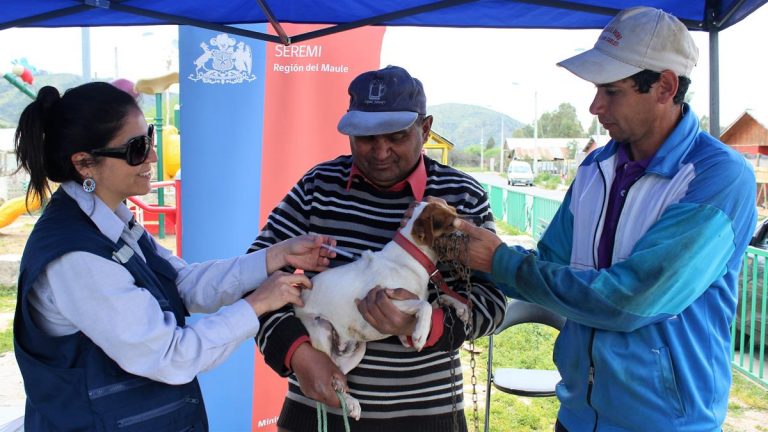 Salud realizó operativos en Talca, Maule y Curicó por “Día mundial contra la rabia”