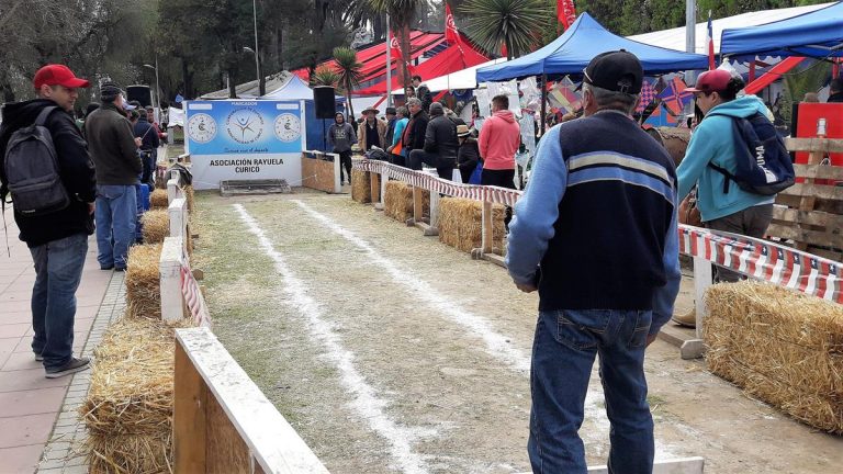 Curicanos disfrutaron de la rayuela en la Fiesta de la Chilenidad