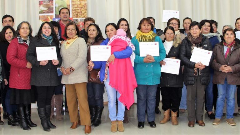 Artesanías maulinas se proyectan a red nacional de tiendas