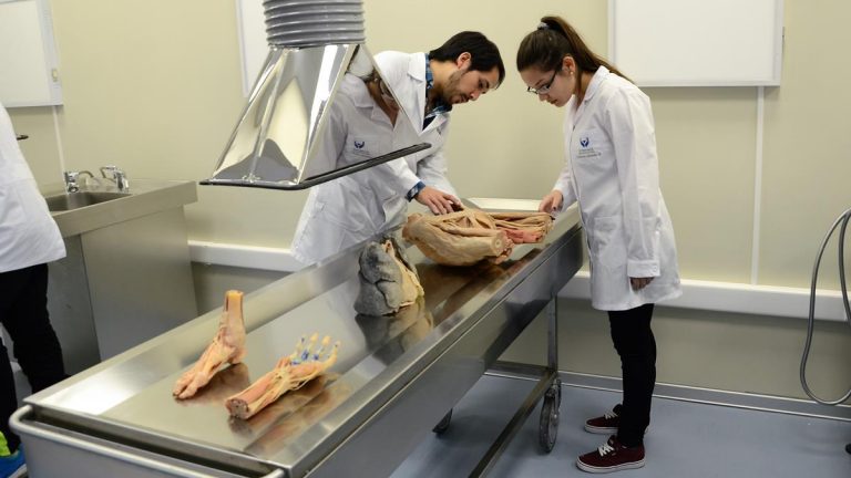 Nuevo laboratorio de morfología estará habilitado para los futuros profesionales de la salud