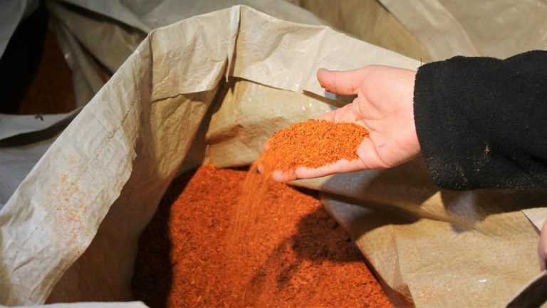 Decomisaron micotoxina cancerígena en producciones de merkén