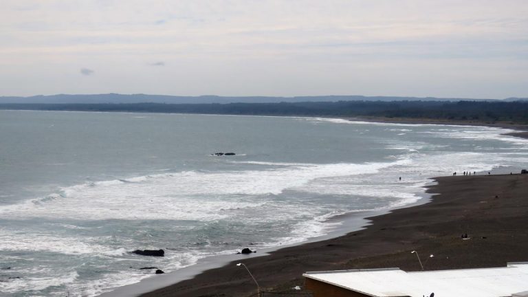 Estudian posibilidad de dotar de un puerto marítimo a las costas maulinas