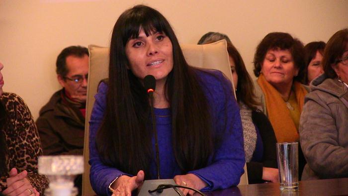 CORE-Maule elevó queja formal contra Seremi del Medioambiente
