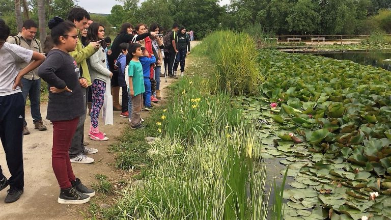 Niños de Teletón recorrieron el Jardín Botánico junto a científicos UTALCA
