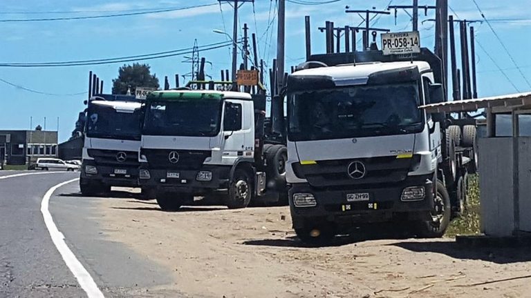 Arauco llama a licitación que reactiven sus plantas