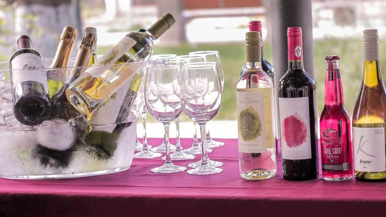 Presentan Fiesta de Espumantes y Vinos de Verano Valle de Sagrada Familia