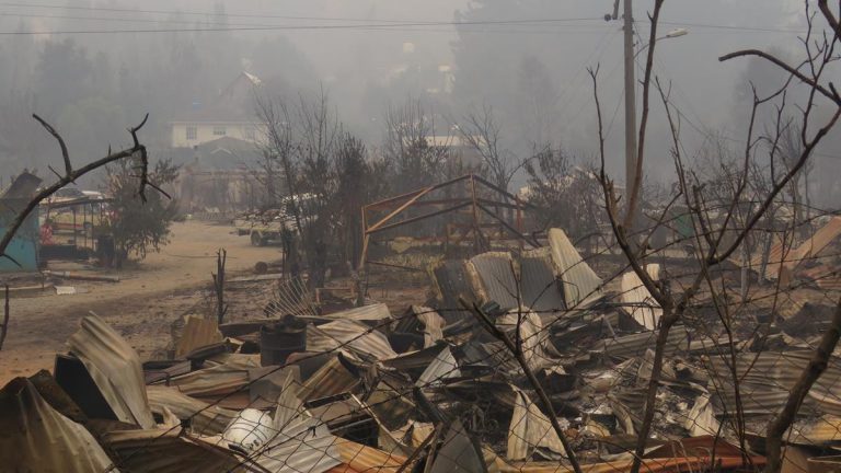 Más de 200 incendios forestales han sido controlados