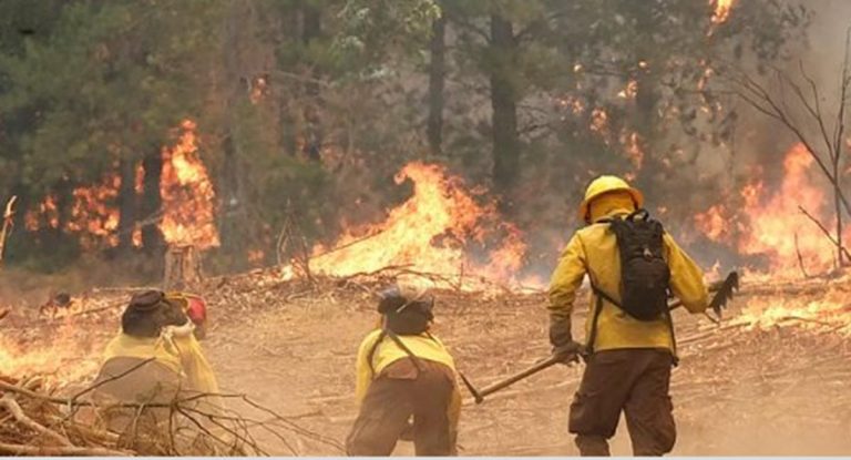 ONEMI amplía alerta por incendios forestales en Linares