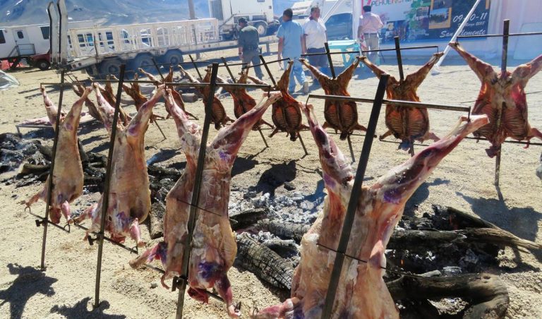 “Fiesta del Chivo al Palo” vivirá comuna lacustre de Colbún