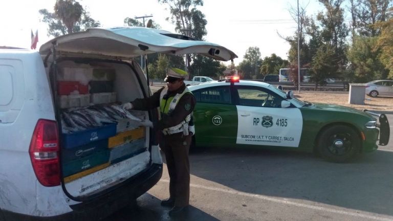 Decomisan más de 2 toneladas de pescado en víspera de Semana Santa