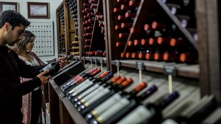 Marzo: mes del vino y enoturismo en la región del Maule