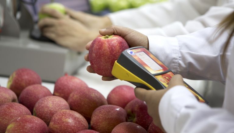 Crean método para conocer características de la fruta 6 meses antes de cosecharse