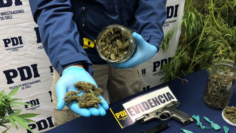 Detenido sujeto que traficaba drogas en plaza de Panimávida