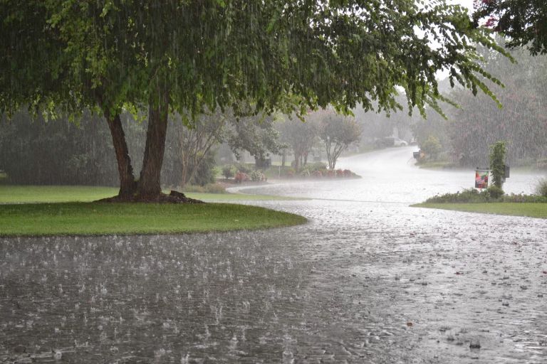 Meteorología anuncia lluvias moderadas para la próxima semana