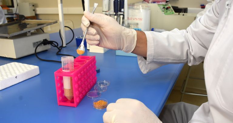Comprueban que residuo industrial del tomate combate la trombosis