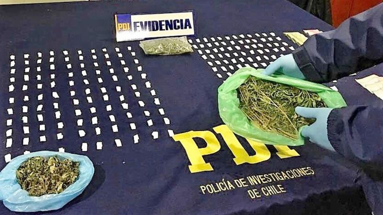 PDI Curicó detiene a dos personas por infracción a la ley de drogas