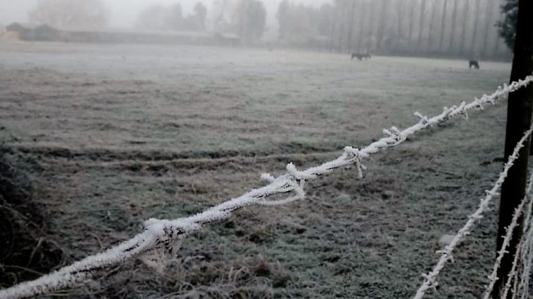 La temperatura más baja del invierno y cencelladas en Curicó