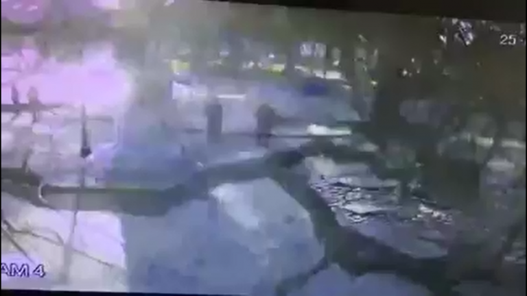 [VIDEO] Árbol cayó en plena plaza de armas de Molina