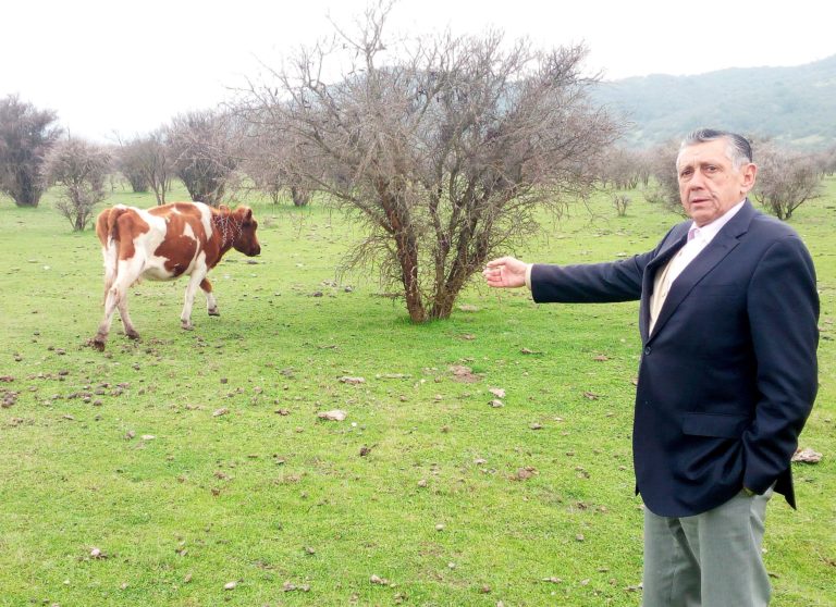 Alcalde de Rauco exige declarar estado de emergencia en la comuna