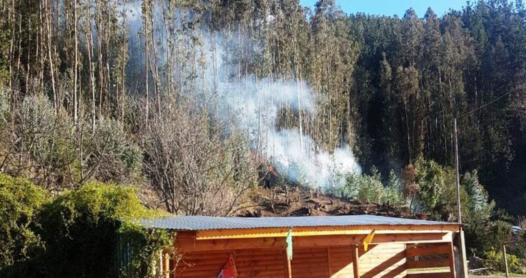 Incendio forestal en pleno invierno encendió las alertas en Constitución