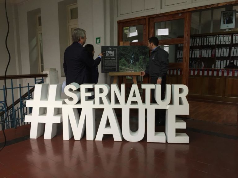 Innovación tecnológica y transformación digital:  el nuevo desafío turístico de la Región del Maule