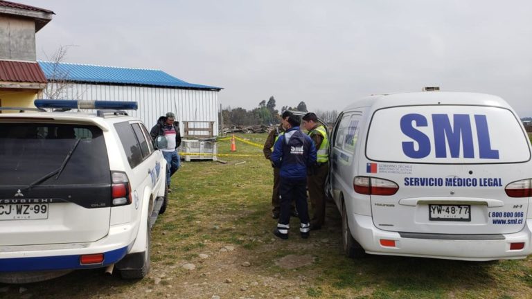 Perro encontró feto en fundo de Curicó