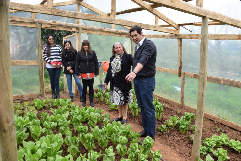 96 familias rurales de Cauquenes, Curepto y Molina aprobaron el Programa “Autoconsumo”