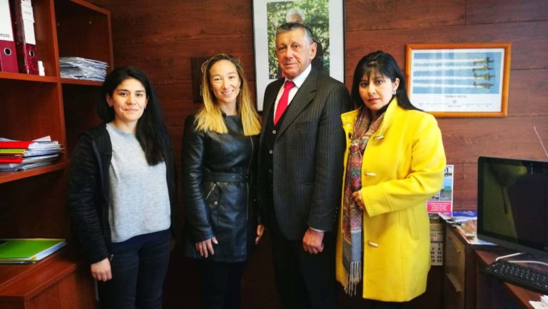 Municipalidad de Rauco realizará 500 esterilizaciones a mascotas domésticas