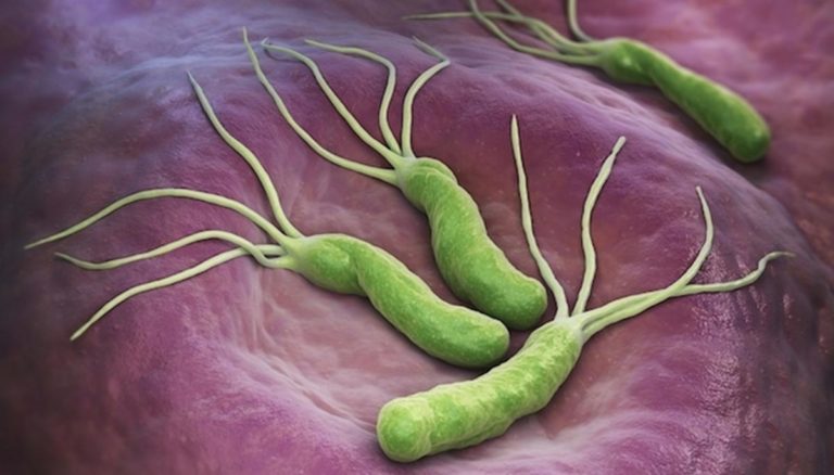 Gastroenterólogos advierten que un 70% de la población chilena porta la bacteria helicobacter pylori