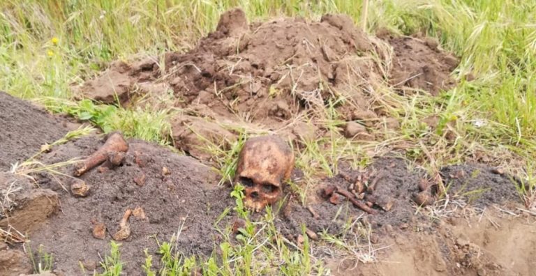 Osamentas humanas encontradas en Iloca movilizan a la policía