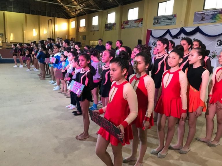 Clubes y colegios se lucieron en Gala de Gimnasia desarrollada en Curicó