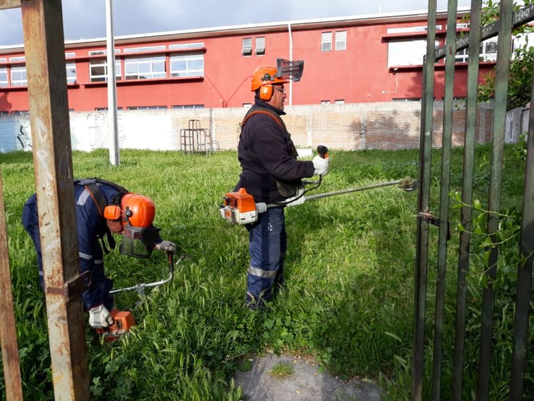 Municipio curicano realiza corte de maleza para evitar incendios