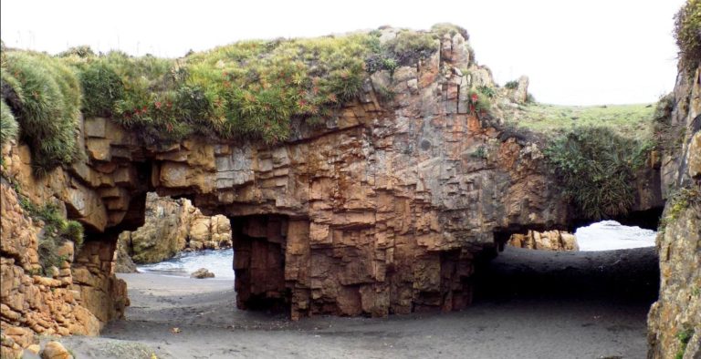 Proponen declarar santuario de la naturaleza a Arcos de Calán