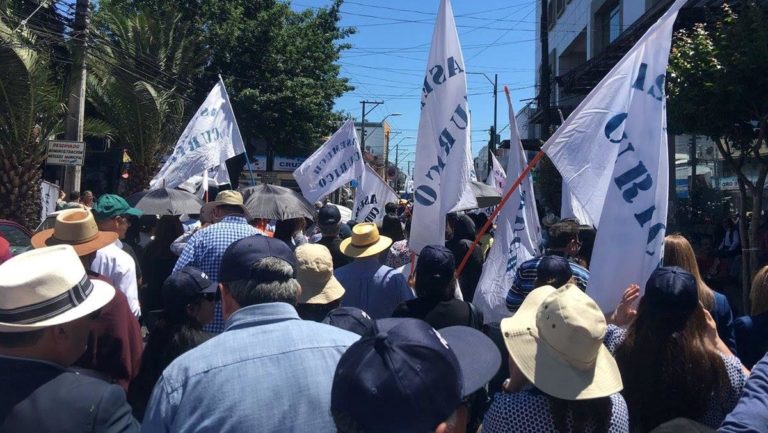 Curicó se sumó de manera parcial a paro del sector público