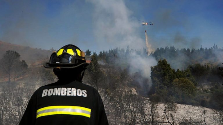 Detenido que provocó dos incendios forestales podría ser internado en hospital psiquiátrico