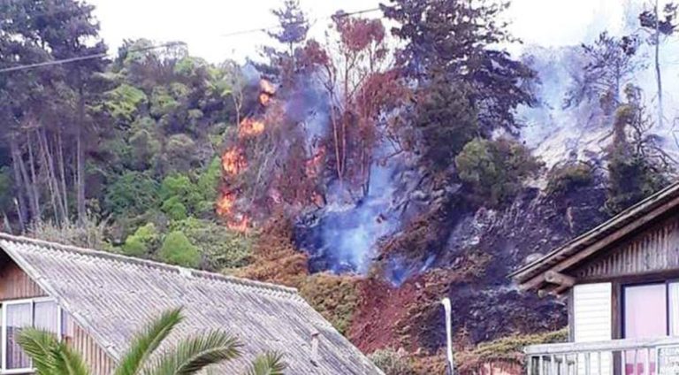 Conaf y Bomberos de Licantén e Iloca controlan incendio forestal en Duao